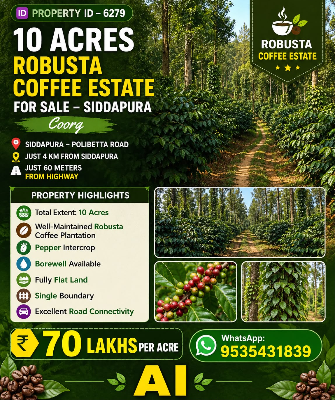 🆔 *PROPERTY ID – 6279* ☕🌿 *10 ACRES ROBUSTA COFFEE ESTATE FOR SALE – SIDDAPURA*